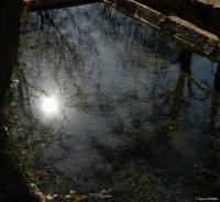 vignette