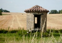 vignette