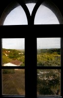 vignette