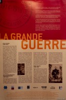 vignette
