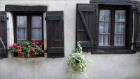 vignette