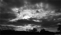 vignette