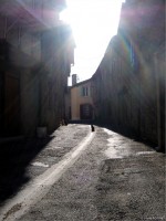 vignette